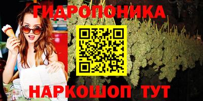 ГАЛЛЮЦИНОГЕННЫЕ ГРИБЫ Будённовск