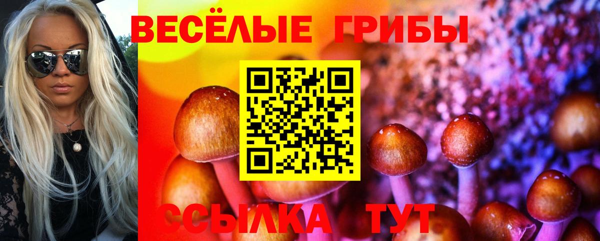 Слободской  Псилоцибиновые грибы Psilocybe  Вход с VPN  Галлюциногенные грибы прущие грибы 